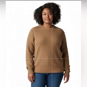 Hollister Women's Brown Crew Neck Sweater